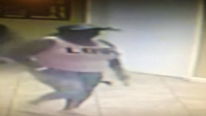 Suspect Wanted for Auto Burglary on Bender Drive
