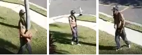 Package Thief Wanted in Second District 