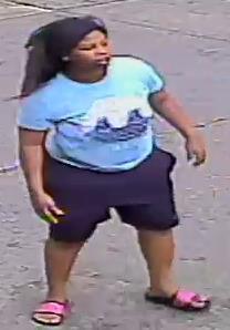Persons of Interest Sought in Vehicle Theft on Quail Creek Road