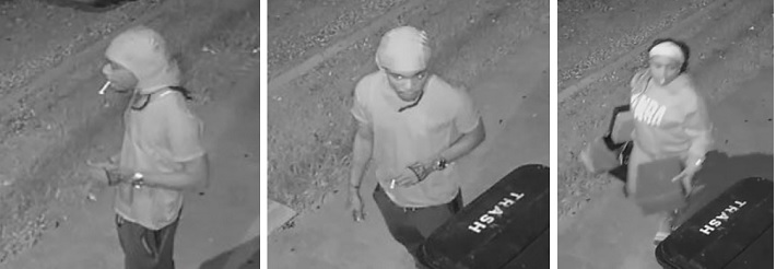 Business Burglary Suspects Sought in First District Incident