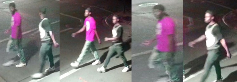Pair Wanted for Simple Robbery on Governor Nicholls Street