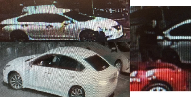 Suspect Wanted after Stealing Car Parts on S. Carrollton Avenue 