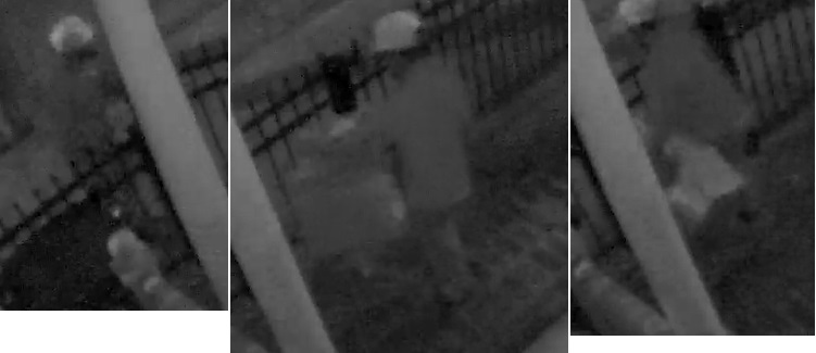 Suspect.jpg Suspect.jpg