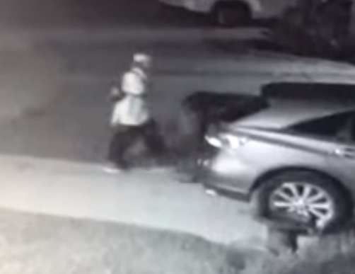 Vehicle-Burglary-Suspect.jpg