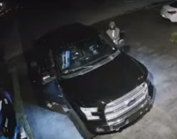 Vehicle-Theft-Suspect.png
