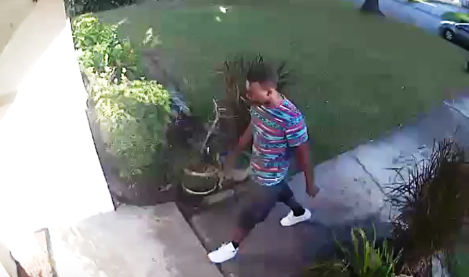 Package Thief on Brighton Place Caught on Video