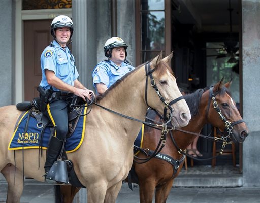 NOPD Mounted Unit to Receive Donation from Hermes-BTP 