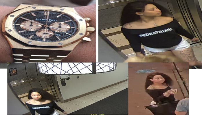 Suspect Wanted for Theft on Poydras Street