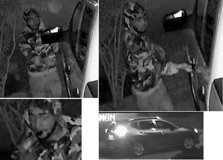 Suspect Seen on Surveillance in Vehicle Burglary on Briarwood Drive