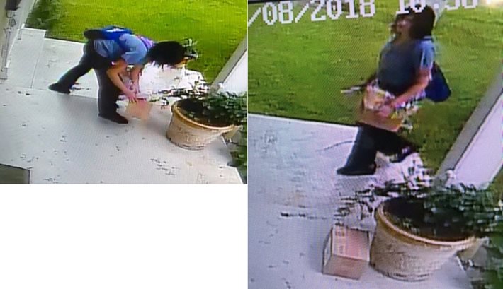 NOPD Searching for Suspect in Package Theft on Virginia Street