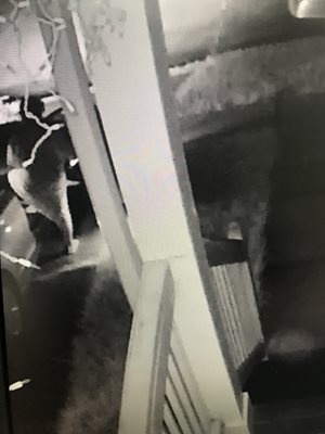 Car Burglary Suspect Sought 