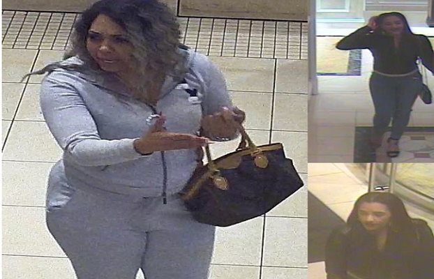 Pair Arrested for Multiple Theft Schemes in Eighth District