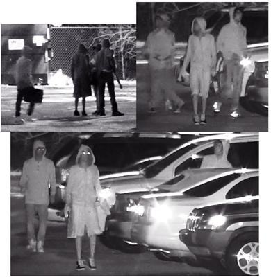 Four Suspects Sought for Vehicle Burglaries on Parc Brittany