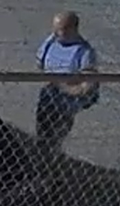 Suspect Wanted For Auto Burglary