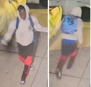 Suspect Wanted For Burglary