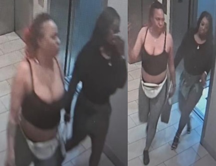 Suspects Wanted For Theft  