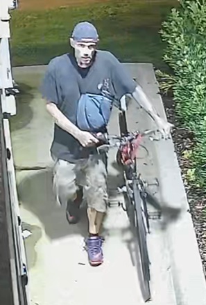Suspect Wanted For Theft
