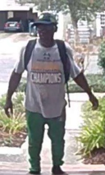 Suspect Wanted For Theft