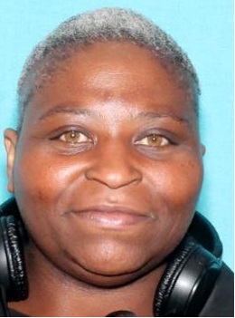 Suspect Wanted For Theft
