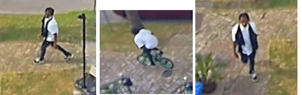 Suspect Wanted For Theft