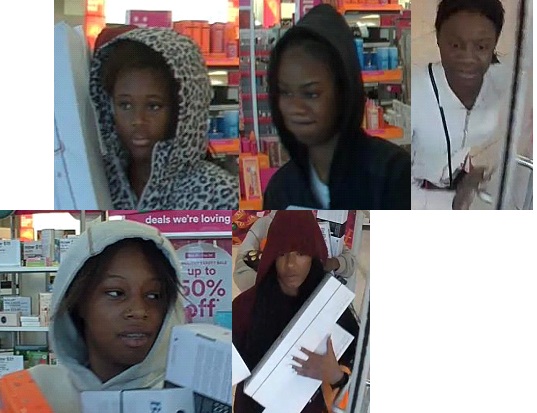 Suspects Wanted For Felony Theft