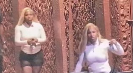 Suspect Wanted For Theft