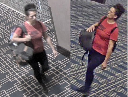 Suspect Wanted For Theft