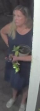 Suspect Wanted For Theft