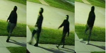 Suspects Wanted For Auto Theft
