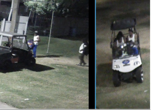 Suspects Wanted For Theft