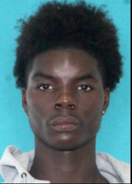 Suspect Wanted For Auto Theft