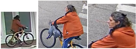 Suspect Wanted For Theft