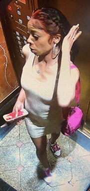 Suspect Wanted For Theft