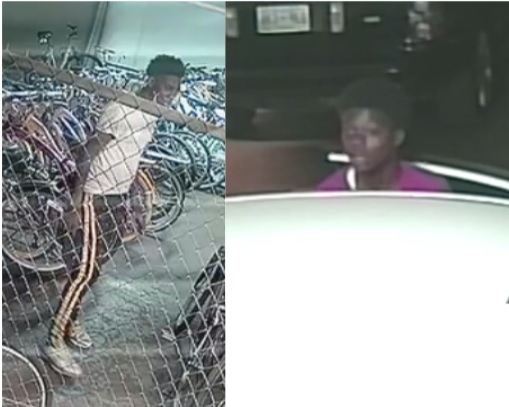 NOPD Seeking Auto Burglary Subjects in the Eighth District