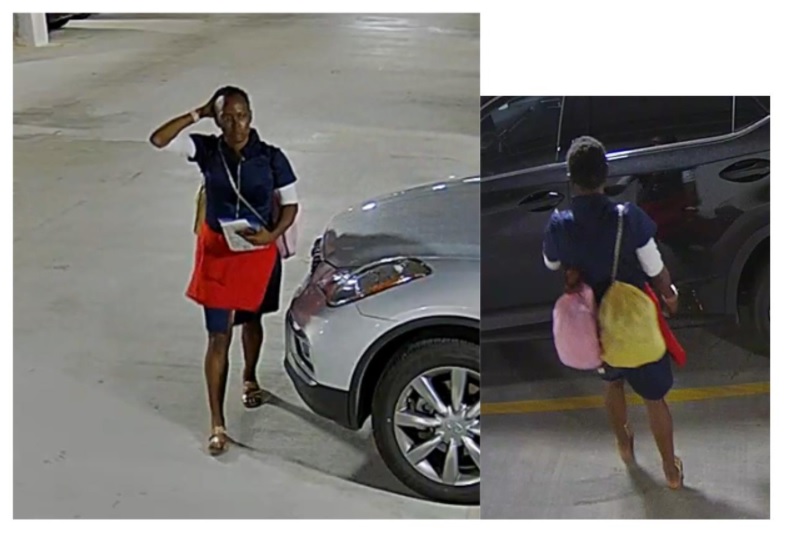 Woman Wanted For Auto Theft in the Eighth District