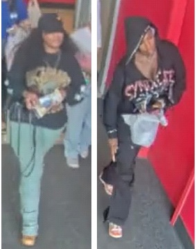 Persons Of Interest Sought