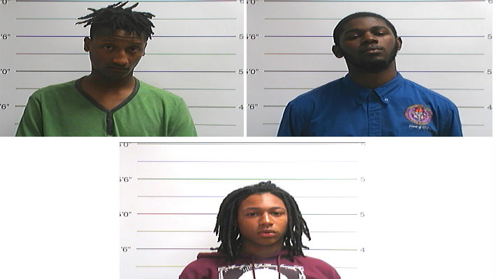 Fast-Acting NOPD Officers Arrest Four Suspects in Armed Robbery on Citrus Drive