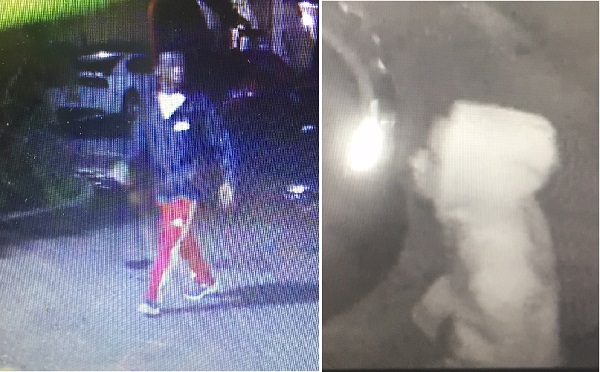 Suspects Wanted in Vehicle Burglary on Woodland Drive
