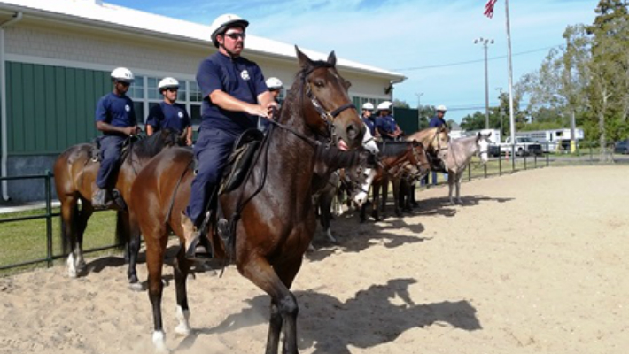 Officers Take the Reigns for Mounted Unit Training