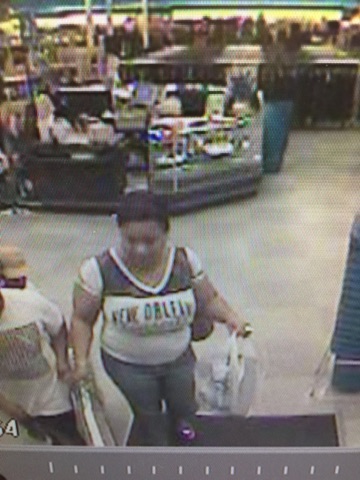 Shoplifting Suspect Sought in Incident on Holiday Drive