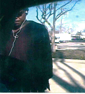 Suspect Sought for Vehicle Theft on General Collins Avenue