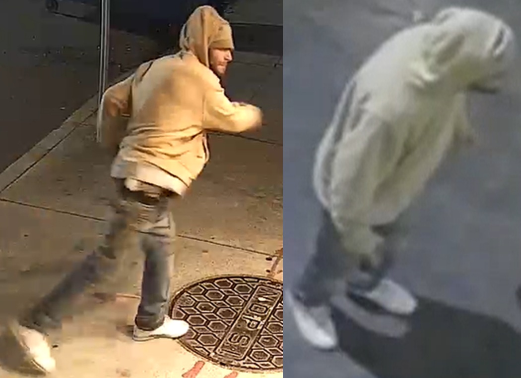 NOPD Seeking Suspect in Criminal Damage Investigation