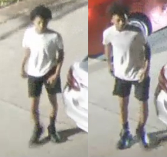 NOPD Seeking to Identify Suspect in Auto Theft and Recovery