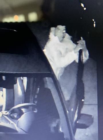 Suspect Sought by NOPD in Third District Vehicle Burglary