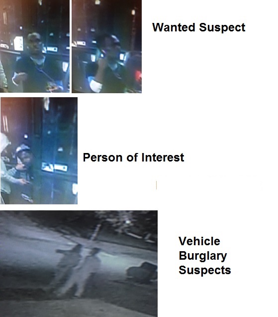 NOPD Seeking Suspect, Person of Interest in Vehicle Burglary, Possession of Stolen Credit Card