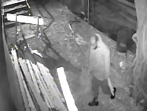 Burglary Suspect Caught on Video