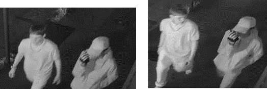 Two Suspects Sought for Robbery on Governor Nicholls Street