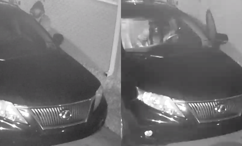 Vehicle Burglary Suspect Caught on Video 