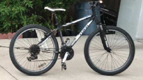 Bicycle Reported Stolen from Paris Avenue