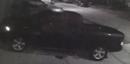 Vehicle Reported Stolen from Timber Bluff Lane